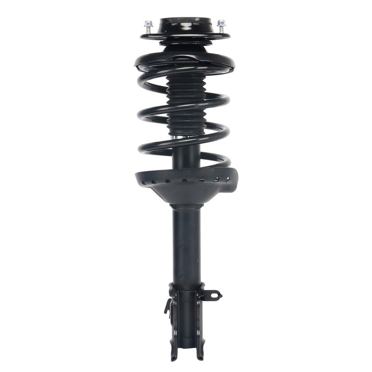 Strut Assembly