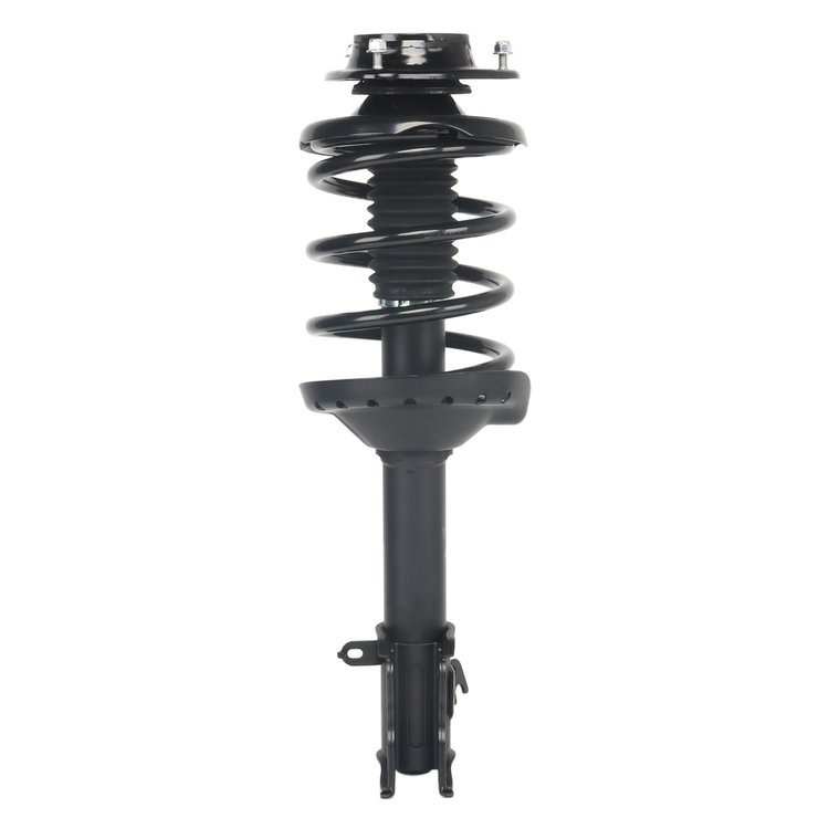 Strut Assembly