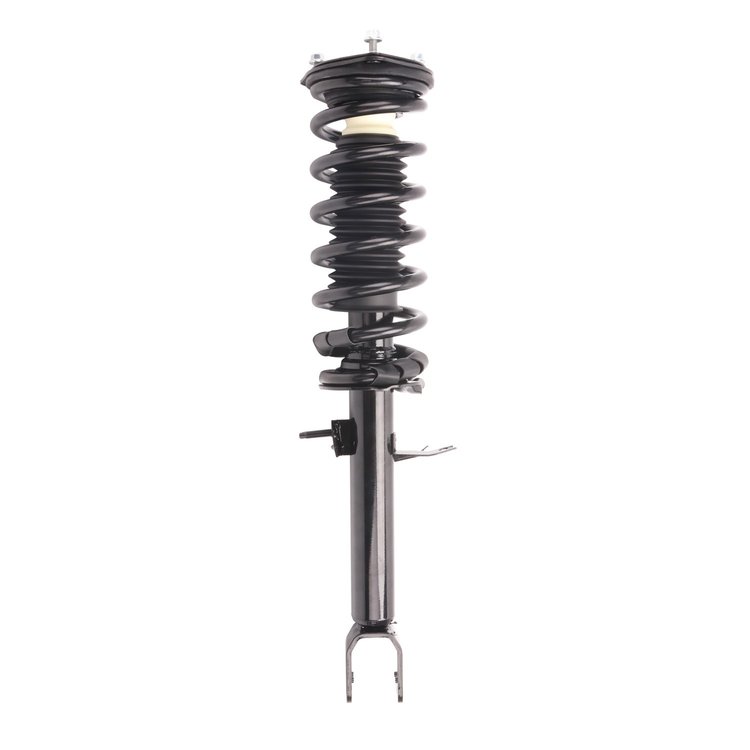 Strut Assembly
