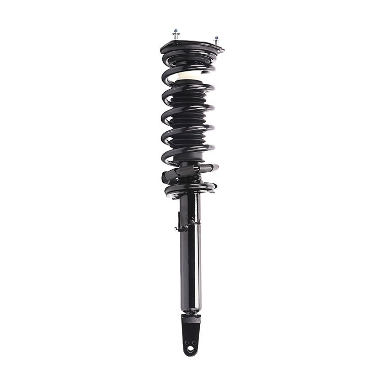 Strut Assembly