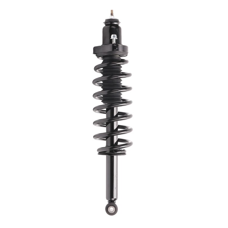 Strut Assembly
