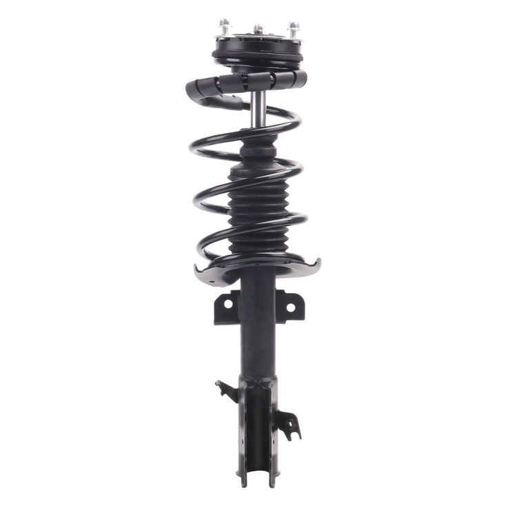 Strut Assembly