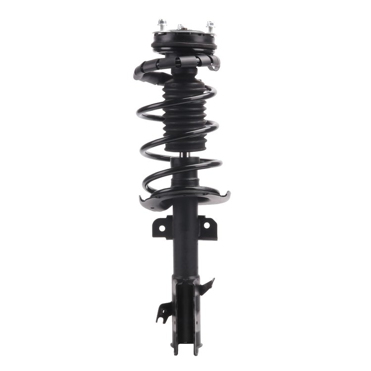 Strut Assembly