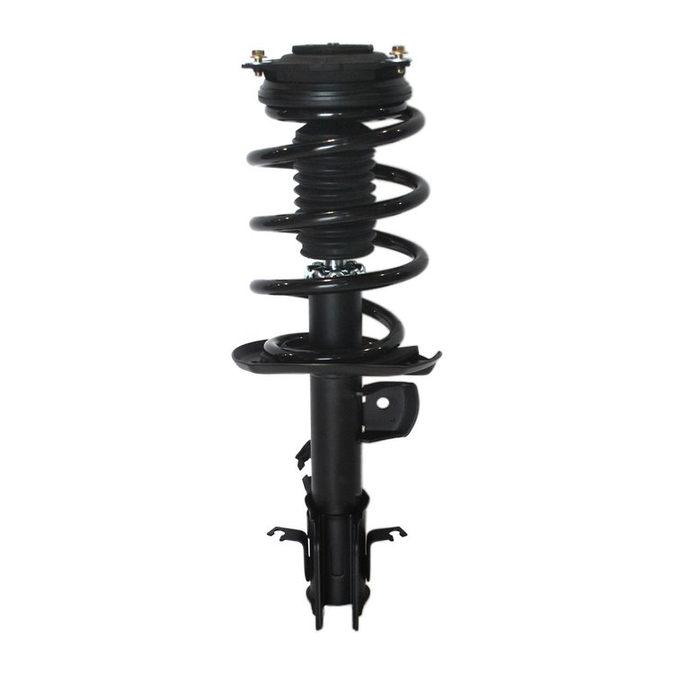 Strut Assembly