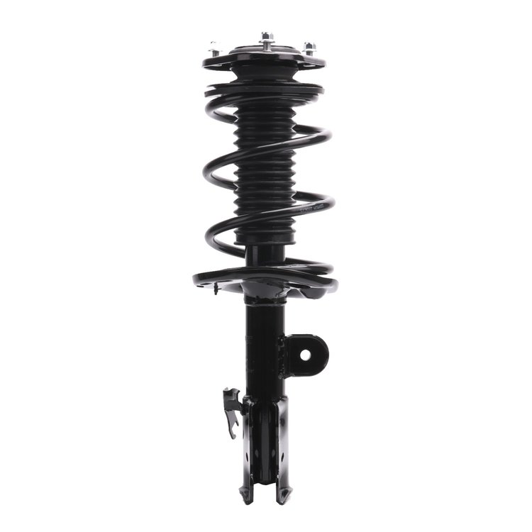 Strut Assembly