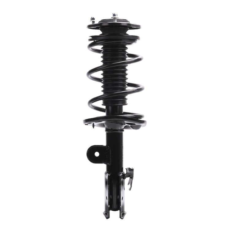 Strut Assembly