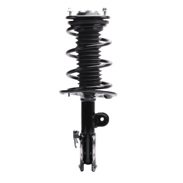 Strut Assembly