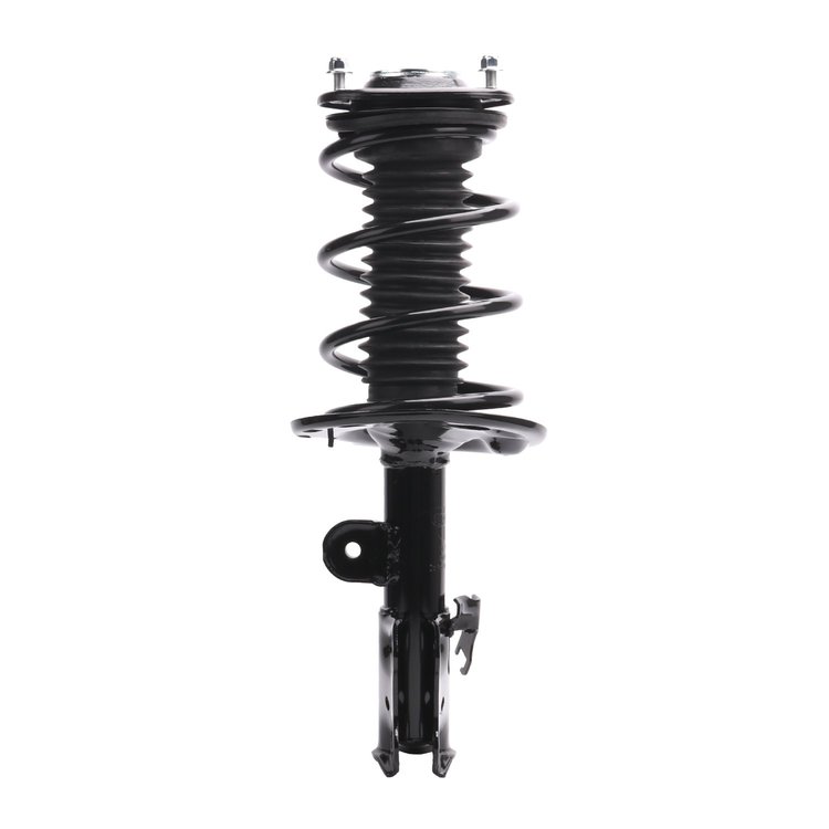 Strut Assembly