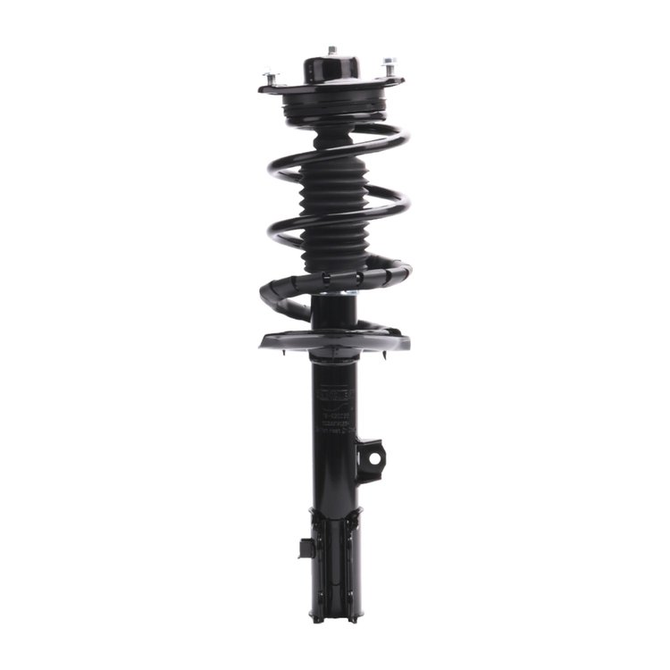 Strut Assembly