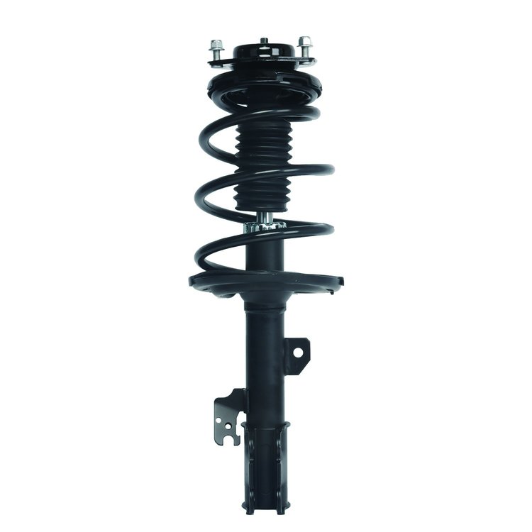 Strut Assembly
