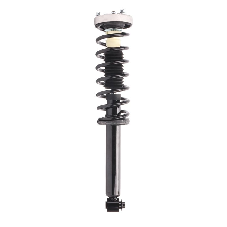 Strut Assembly