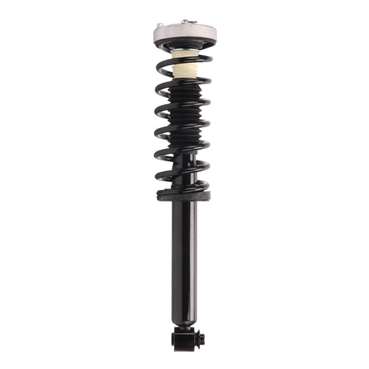 Strut Assembly