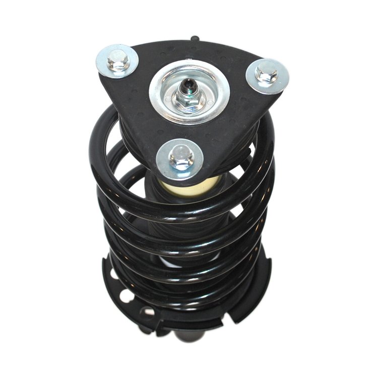 Strut Assembly