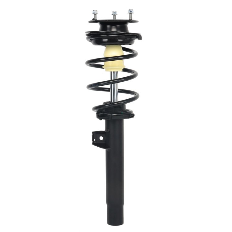 Strut Assembly