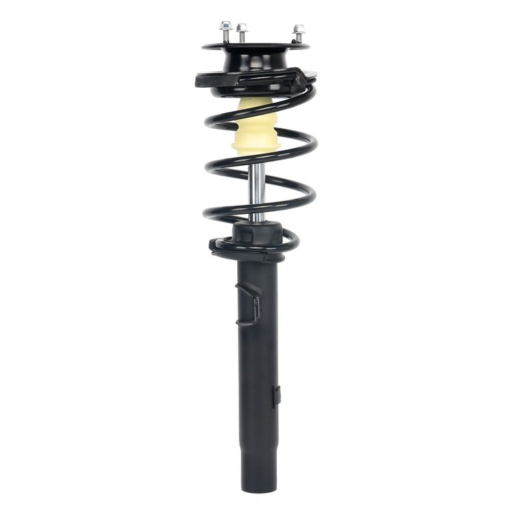 Strut Assembly