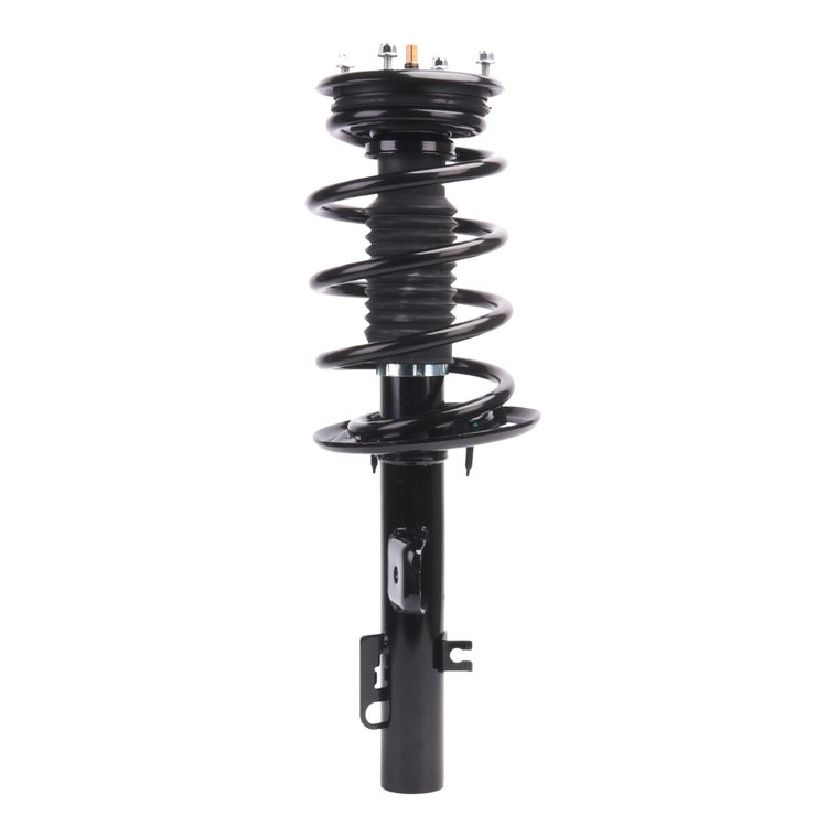 Strut Assembly