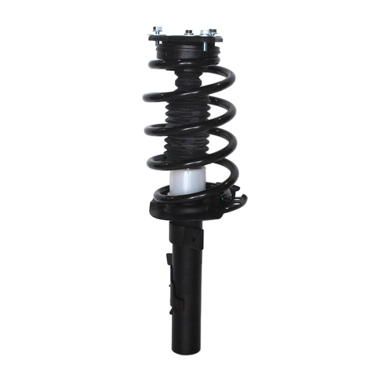 Strut Assembly