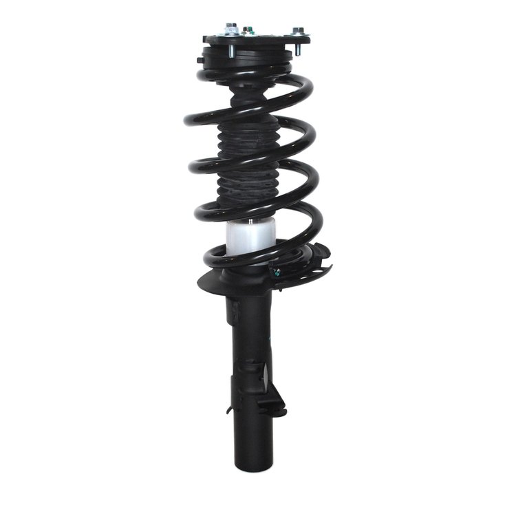Strut Assembly