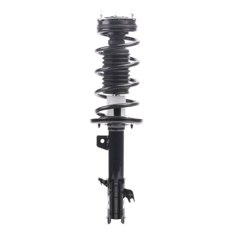 Strut Assembly