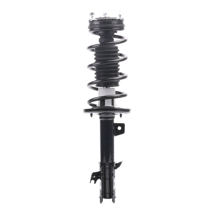 Strut Assembly