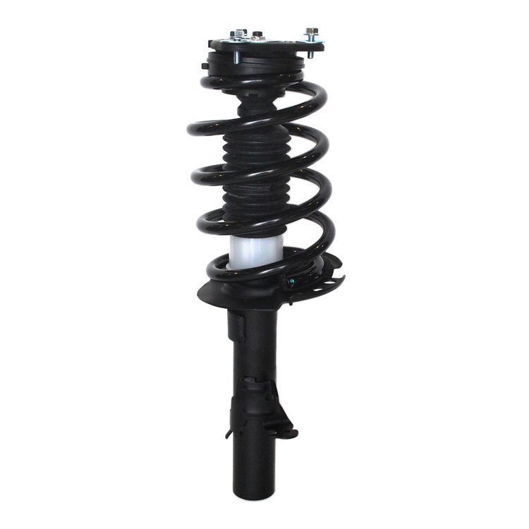 Strut Assembly