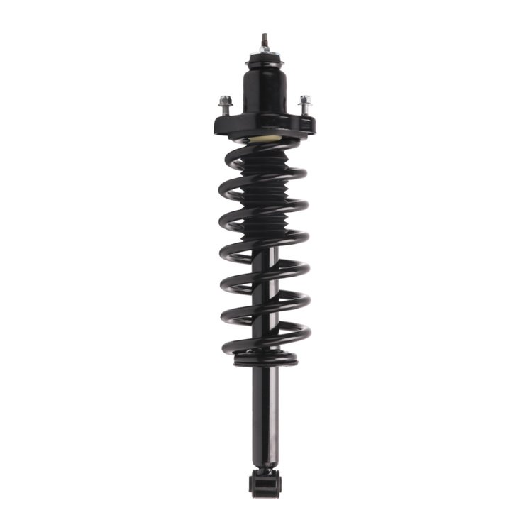 Strut Assembly