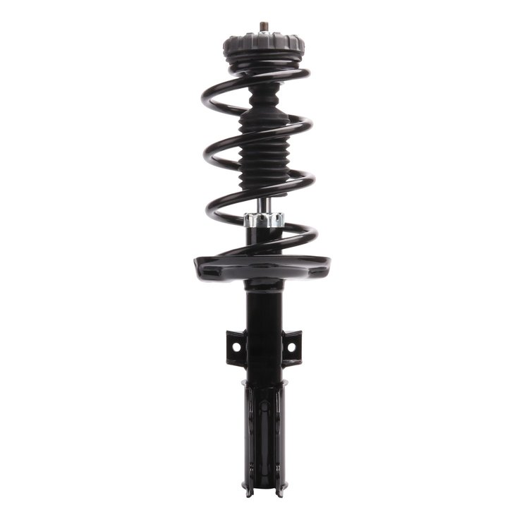 Strut Assembly