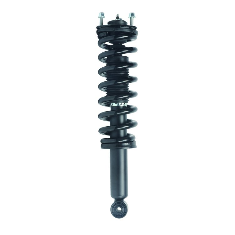 Strut Assembly