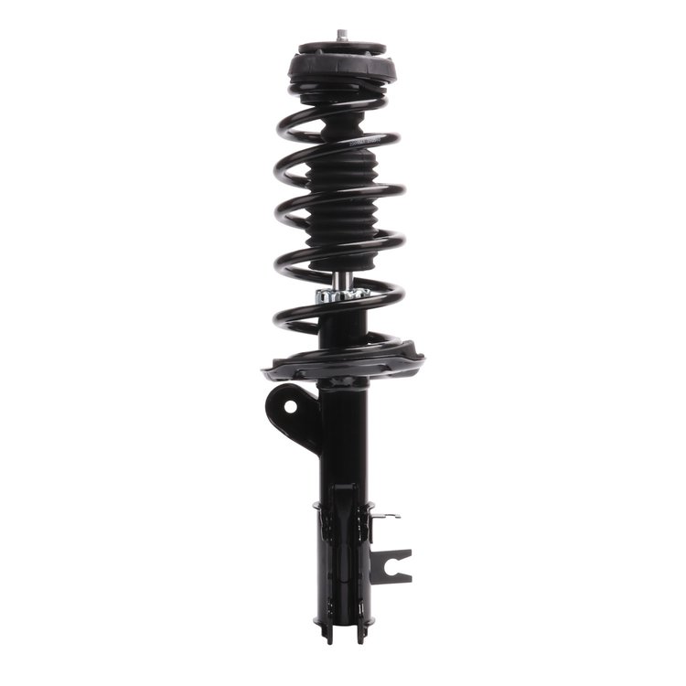 Strut Assembly