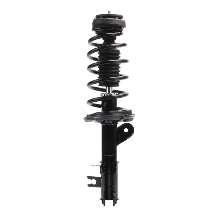 Strut Assembly