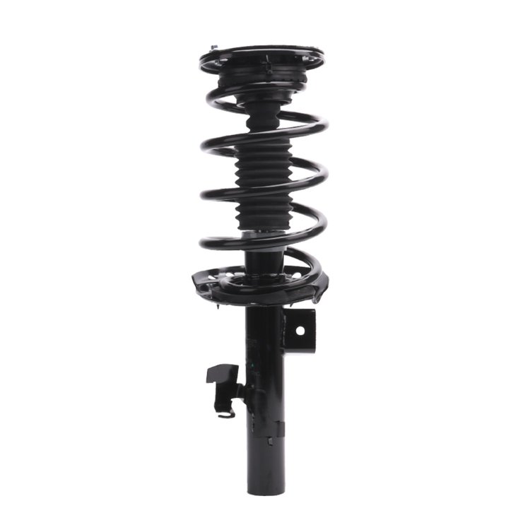 Strut Assembly