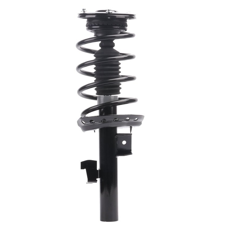 Strut Assembly