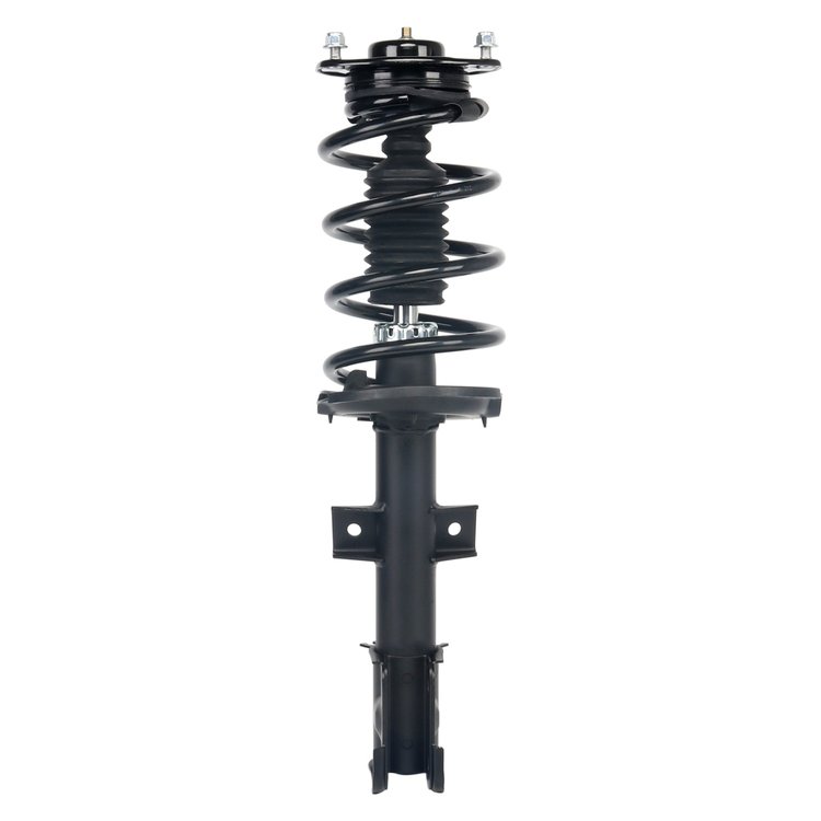 Strut Assembly