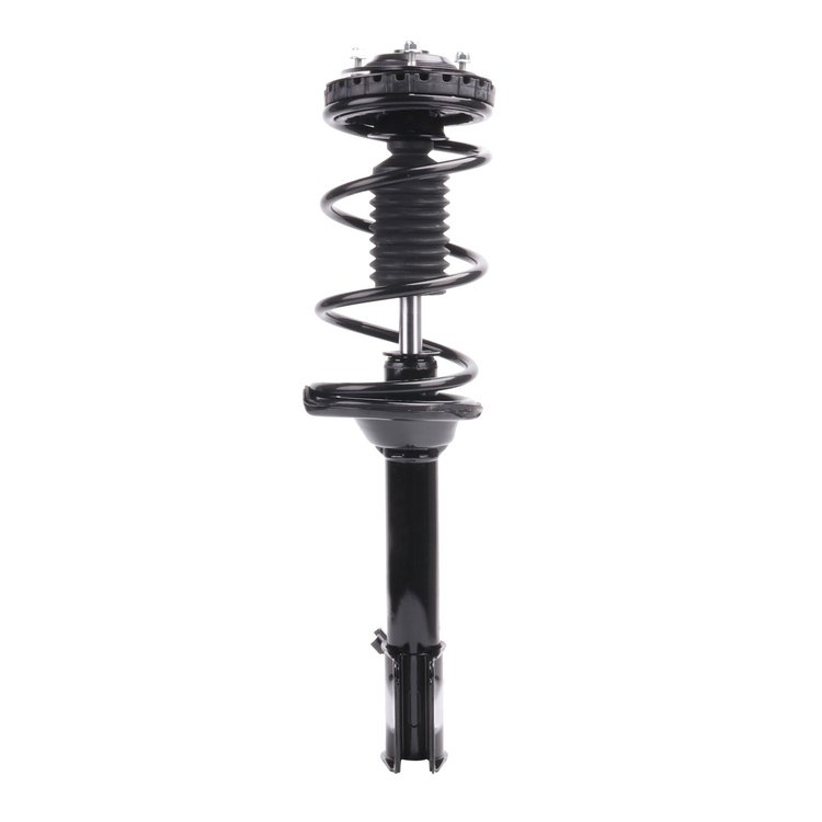 Strut Assembly