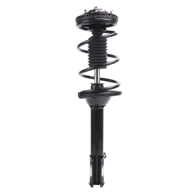 Strut Assembly