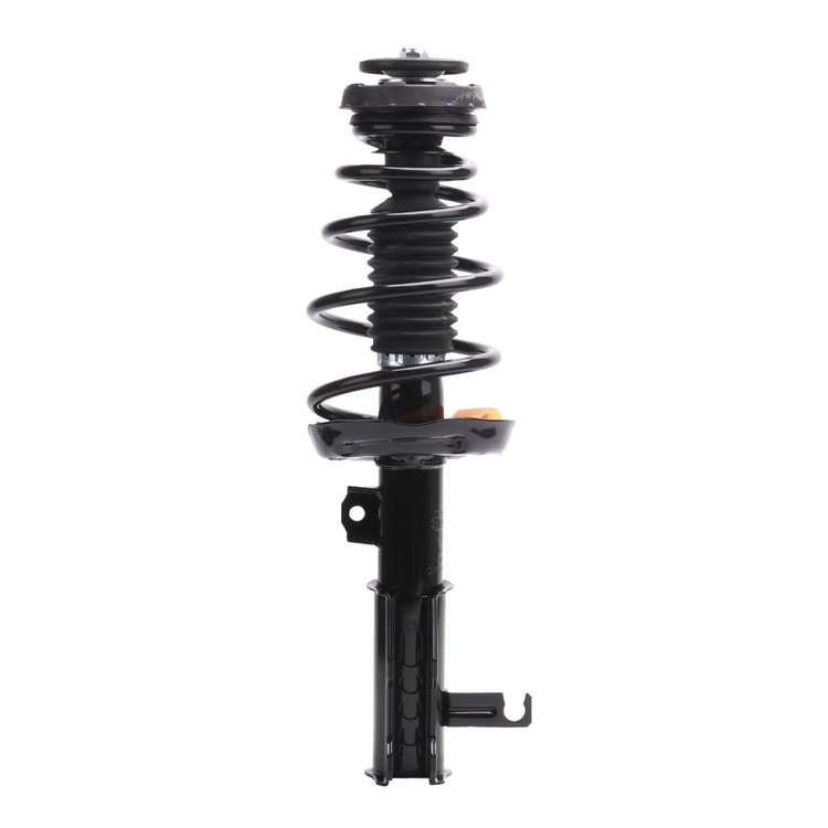 Strut Assembly