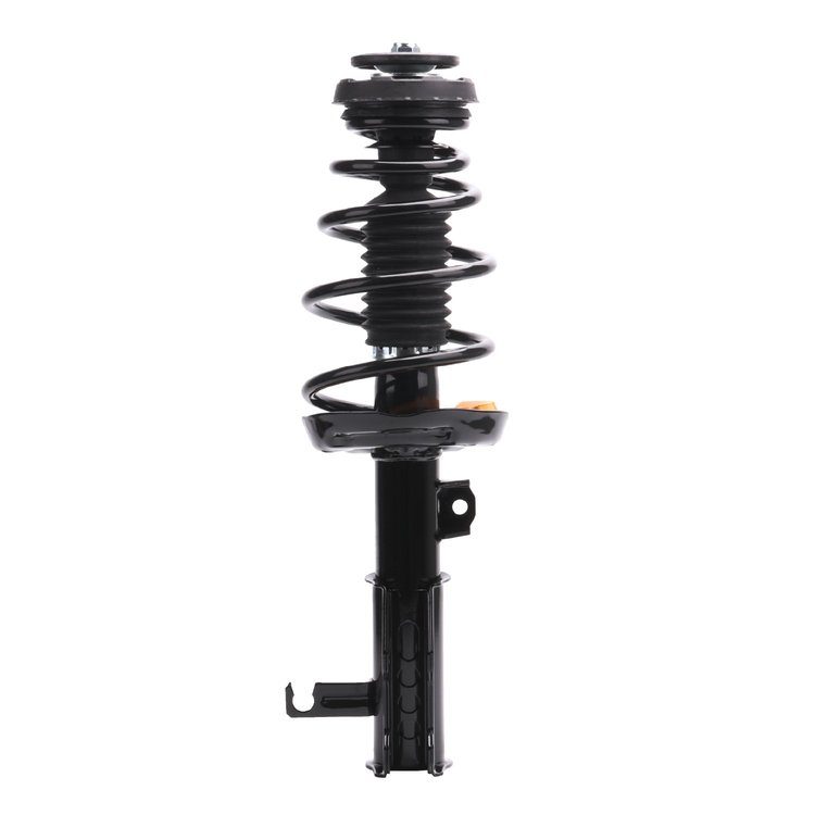 Strut Assembly