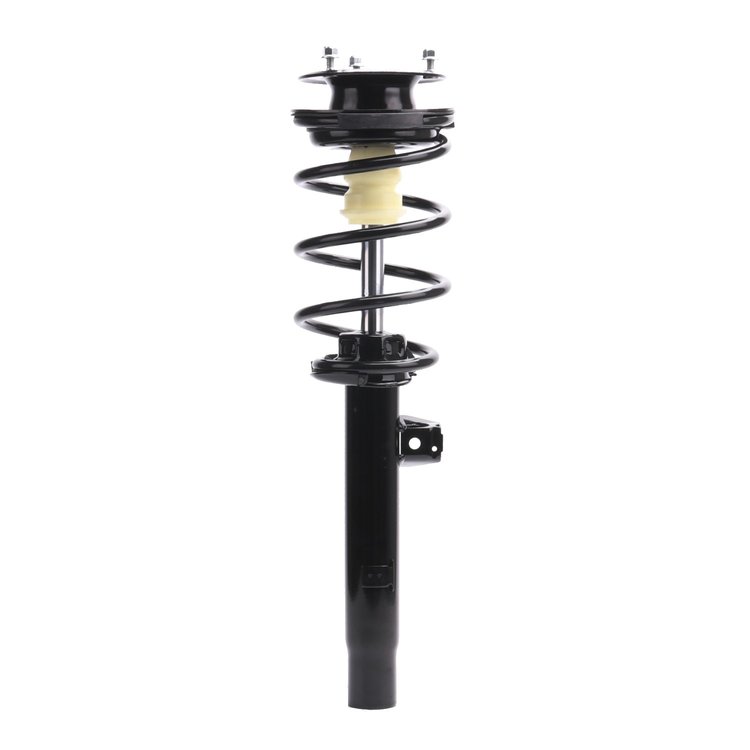 Strut Assembly