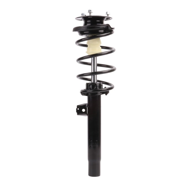 Strut Assembly