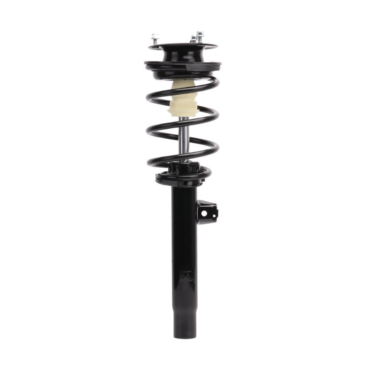 Strut Assembly