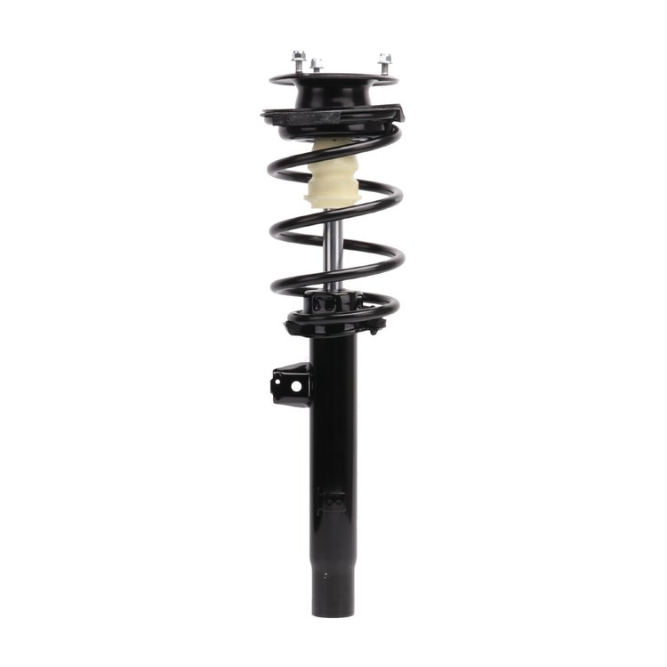 Strut Assembly