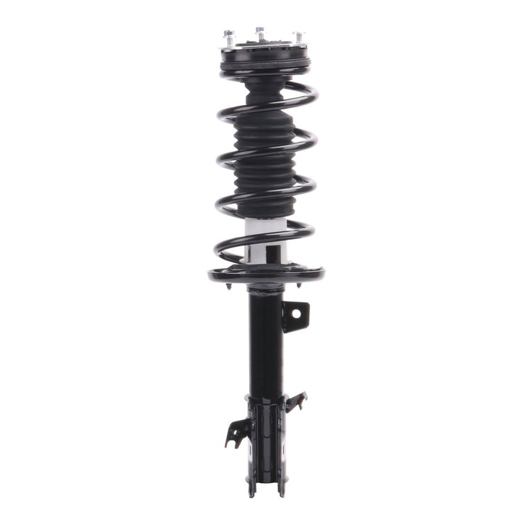 Strut Assembly