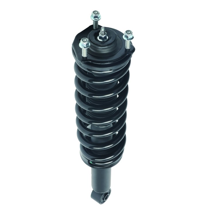 Strut Assembly