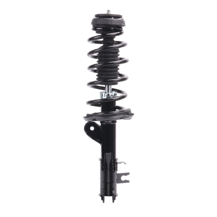 Strut Assembly