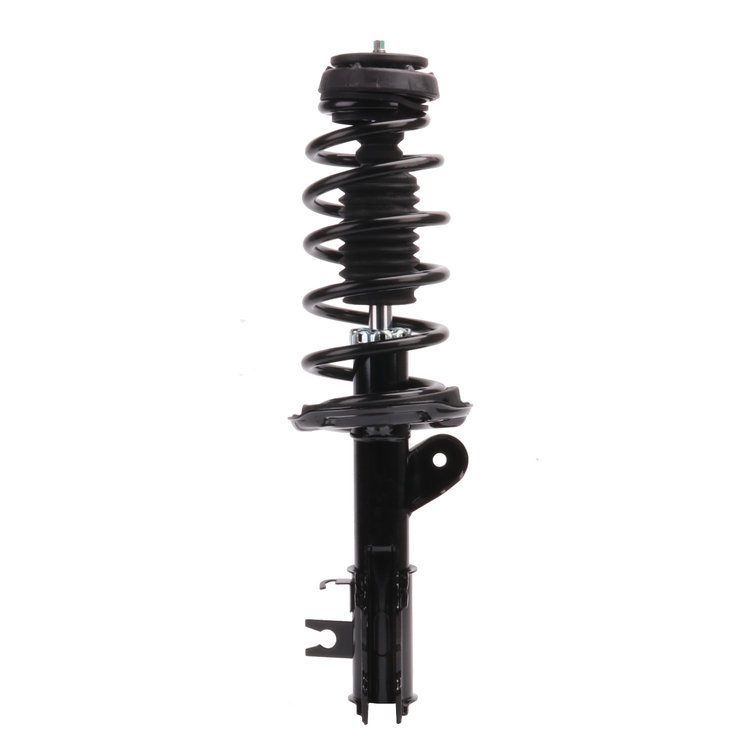 Strut Assembly