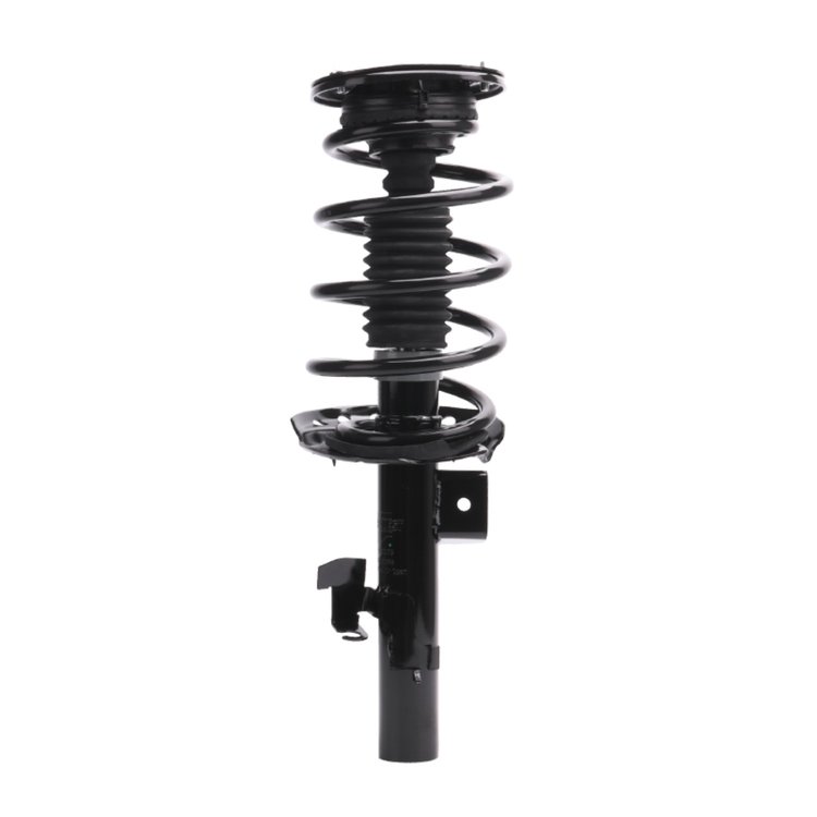 Strut Assembly