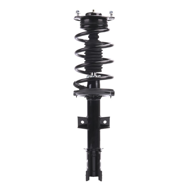 Strut Assembly