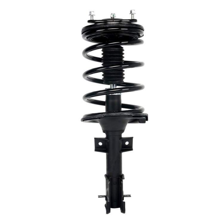 Strut Assembly