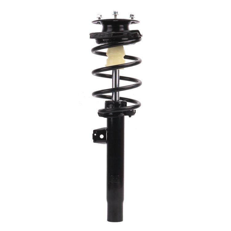Strut Assembly