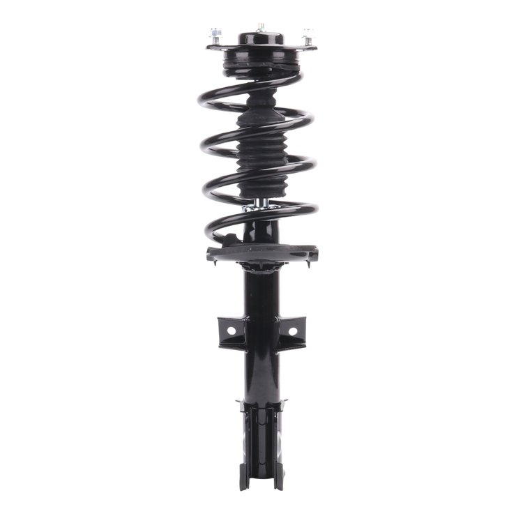Strut Assembly